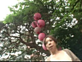 画像0120