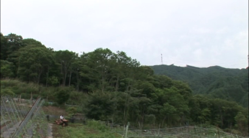 矢部寿恵の故郷の美母 淫愛の近親相愛