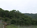 画像0013
