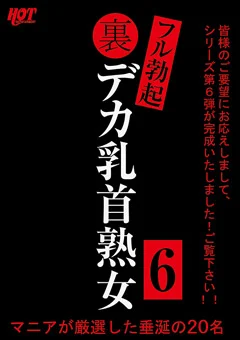 裏フル勃起デカ乳首熟女6 マニアが厳選した垂涎の20名