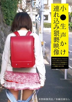 小●生声かけ連れ込み猥褻映像