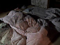画像0105
