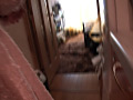 Digest Image 6