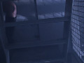 Digest Image 6