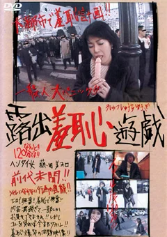 露出羞恥遊戯 藤田美和