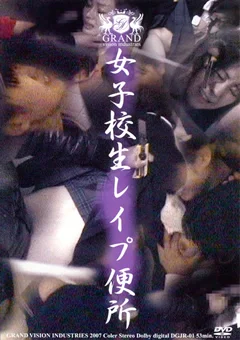 女子校生レイプ便所