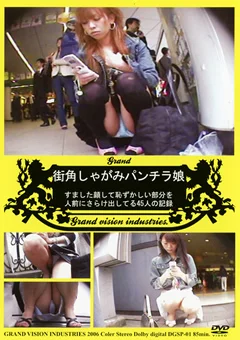 街角しゃがみパンチラ娘