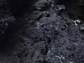 画像0025