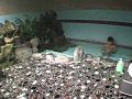 画像0026
