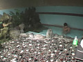 画像0036