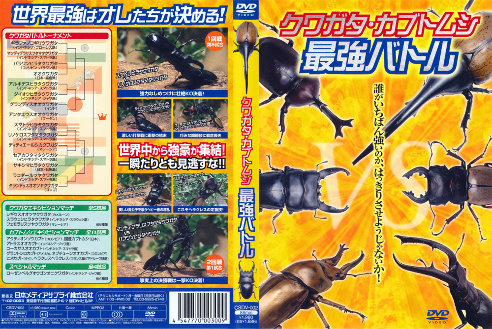 クワガタ・カブトムシ最強バトル