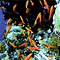 MOLDIVE CREATURES