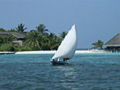 MOLDIVE NATURESのサンプル画像8