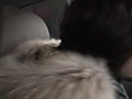 画像0202