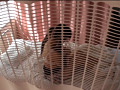 画像0046