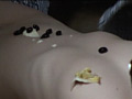 画像0046