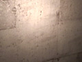 画像0059