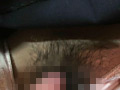 Digest Image 22