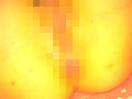 画像0035