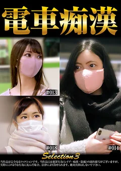 電車痴漢selection3
