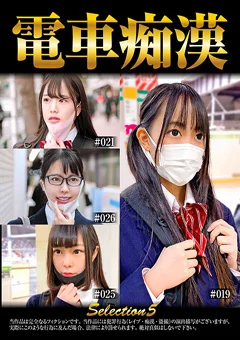 電車痴漢selection5