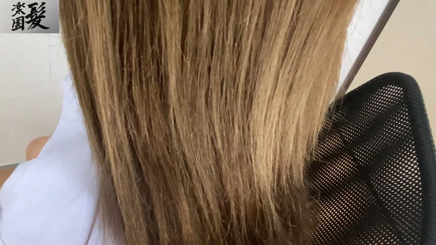 髪楽園No.3エクステギャル前編