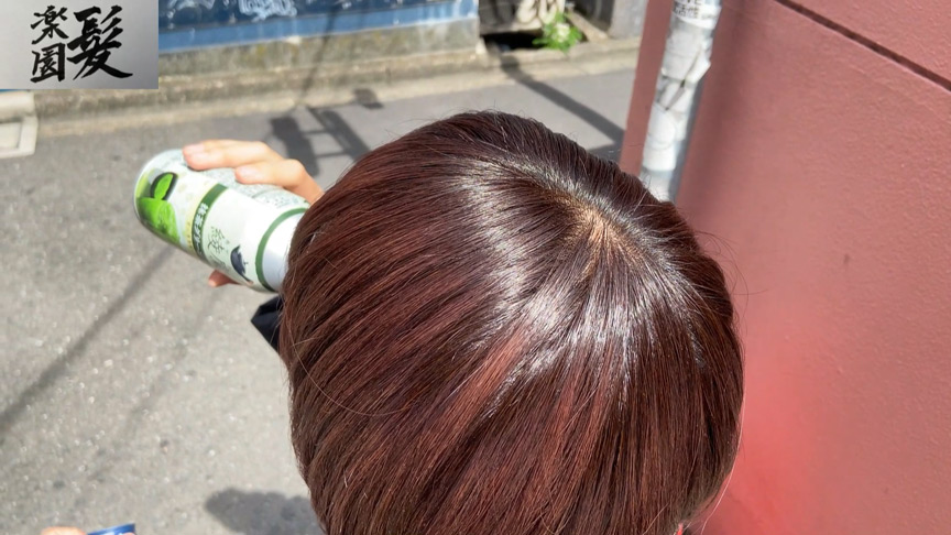 髪楽園No.6茶黒ショート前編 画像1