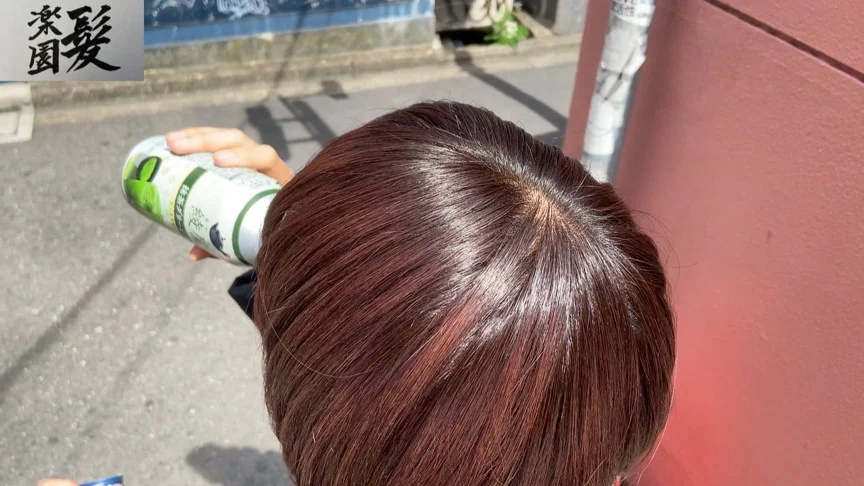 髪楽園No.6茶黒ショート前編