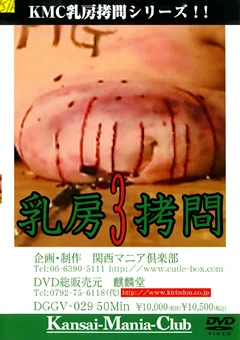 乳房拷問3