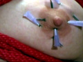 鞭と痣と乳と針のサンプル画像6