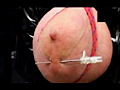 乳房拷問7のサンプル画像4