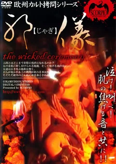 邪儀1