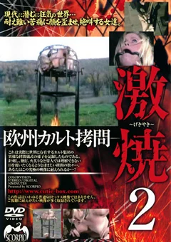 欧州カルト拷問 激焼2