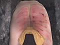 [kansai-0755] 戒めの鞭2 ～人体傷壊録～のキャプチャ画像 6