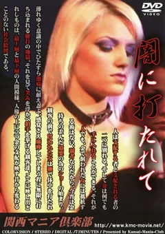 闇に打たれて