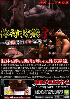 体縛拷禁3 ～緊縛拘束イキ地獄～