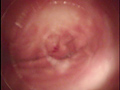 女孔遍路胎内回帰〜目・耳・鼻・咽喉・肛門・直腸・膣・子宮口〜神秘的な女穴をめぐる旅のサンプル画像10