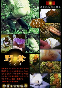 野糞 ギャルの野糞を徹底解剖2
