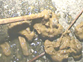 野糞 ギャルの野糞を徹底解剖4のサンプル画像15