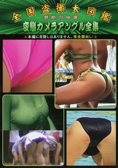 全国盗撮大図鑑 変態カメラアングル全集02