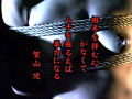 画像0177
