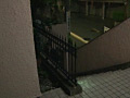 Digest Image 40
