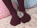 画像0056
