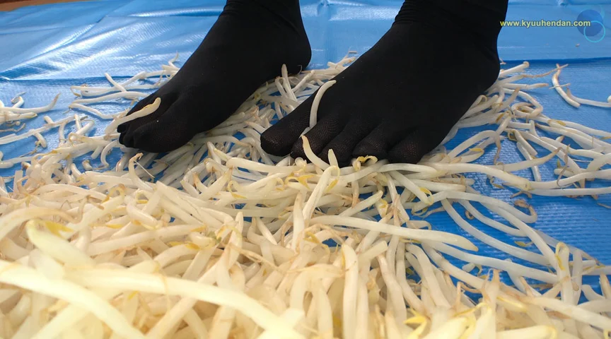 倉科ちゃんのもやしクラッシュ 五本指靴下