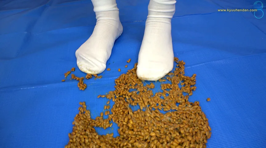 倉科ちゃんの納豆クラッシュ 白ソックスVS納豆