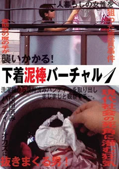 下着泥棒バーチャル1