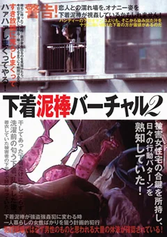 下着泥棒バーチャル2