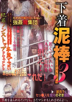 下着泥棒バーチャル3