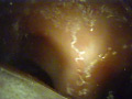 Digest Image 13