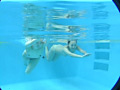 水中 女体 水の中マニア 「オナニー・フェラ・レズキス、水中遊戯」のサンプル画像14